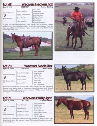 catalog2