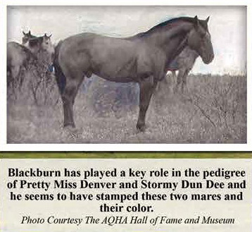 23 blackburn