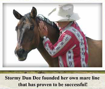 23 stormy dun dee