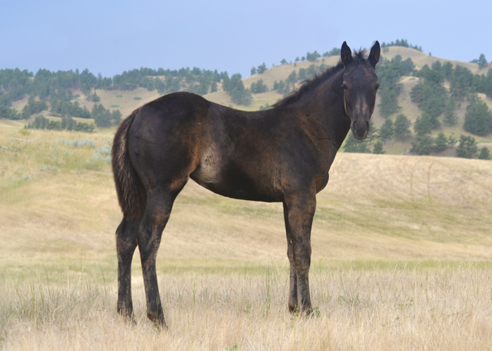 Lot 45 Weavers Once A Lady