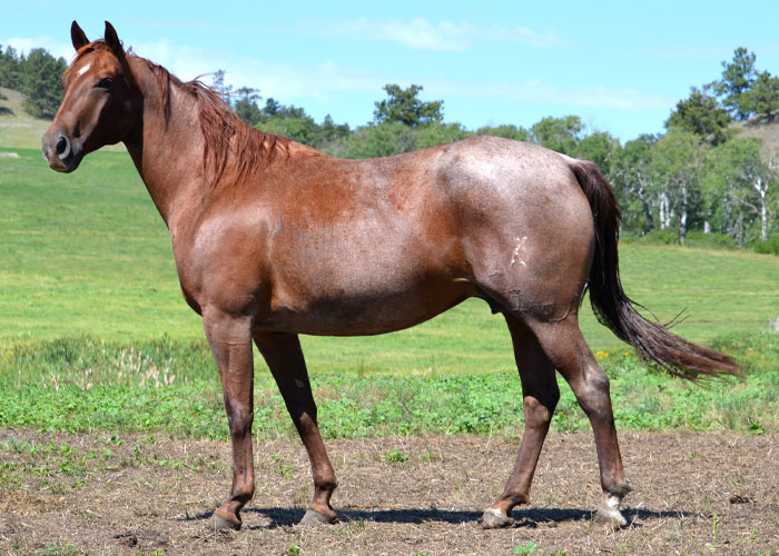 Lot 10 Weavers Little Cash