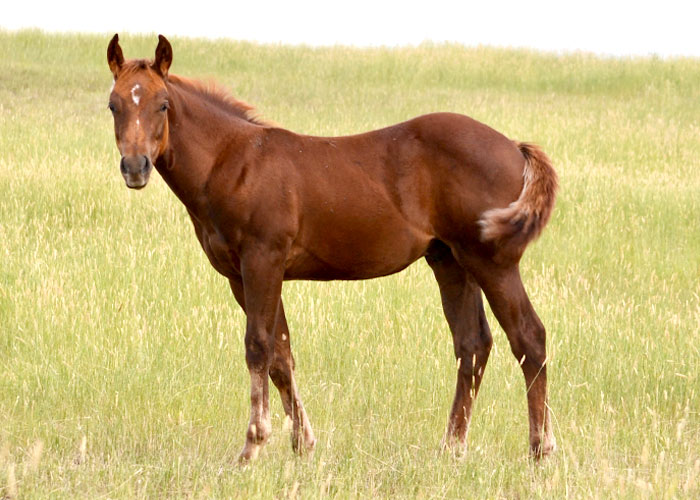 Lot 22 Weavers Keeping Tuf