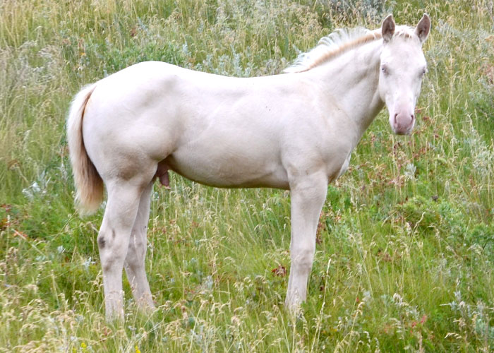 Lot 23 Weavers Smart White