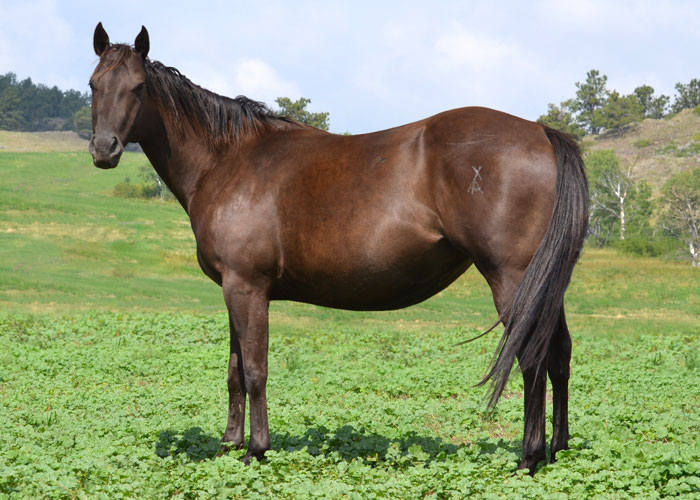 Lot 24 Weavers SmartSmooth
