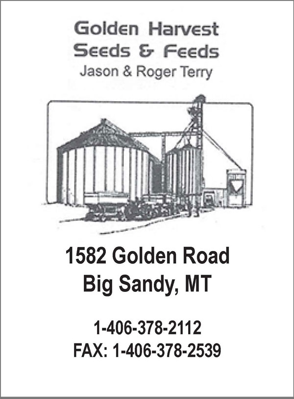 Golden Harvest 