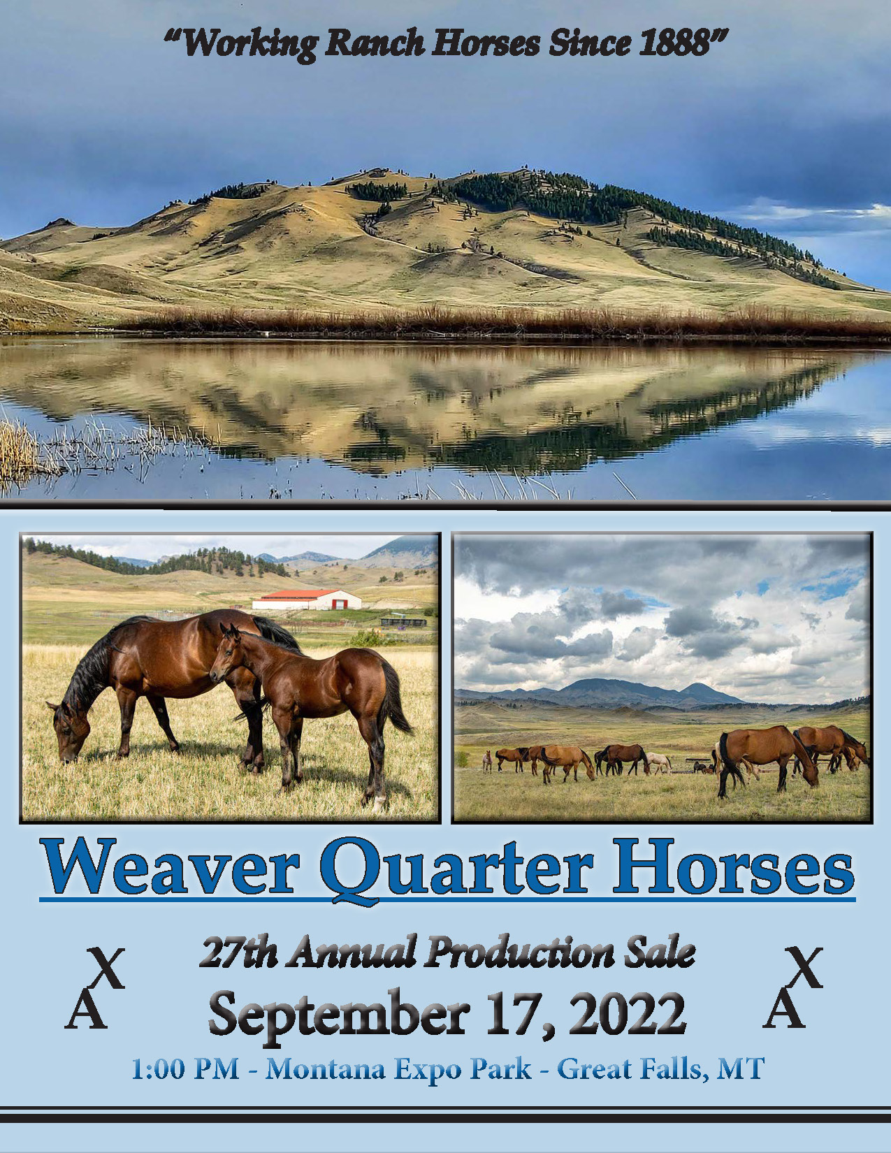 Weaver Quarter Horse Sale 2022 catalog