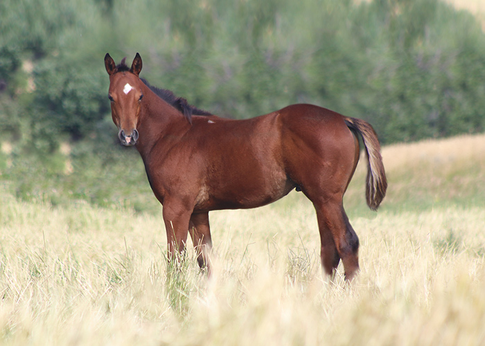 Lot 35 Weavers Aint No Cash