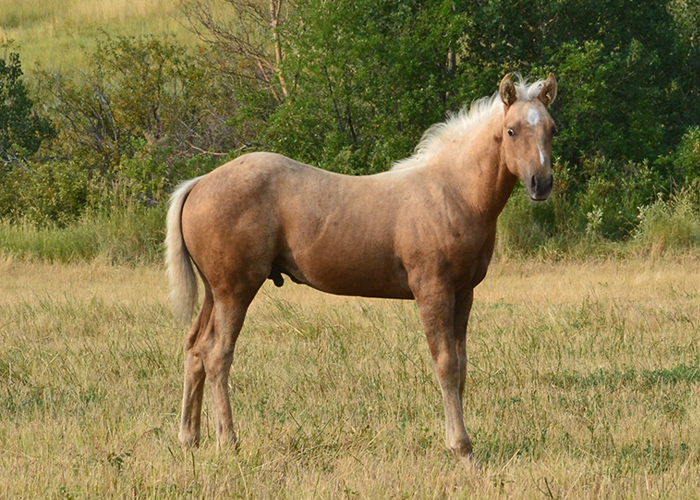 Lot 63 Weavers Smooth Me