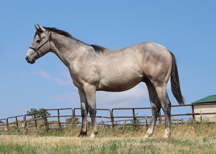 Lot 78 Weavers Firewater