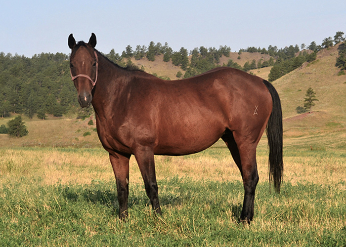 Lot 81 Weavers Heaven Lou