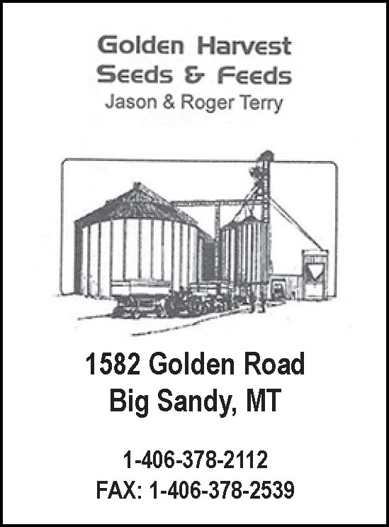 Golden Harvest 