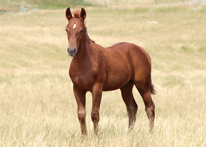 Lot 13 Weavers Bet My Cash Lot 13 Weavers Bet My Cash